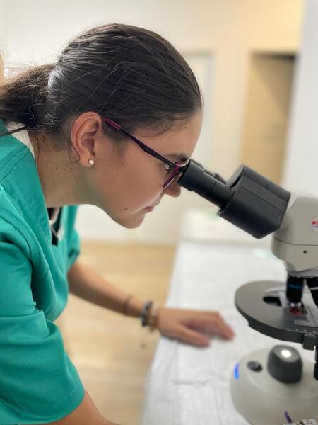 Curso de Auxiliar clínico veterinario