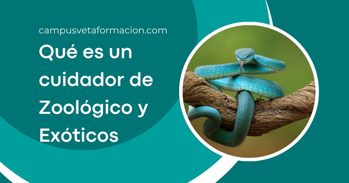 Cuidador de Animales de Zoológicos