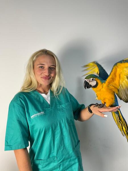 Curso de Animales Exóticos y de Zoológico