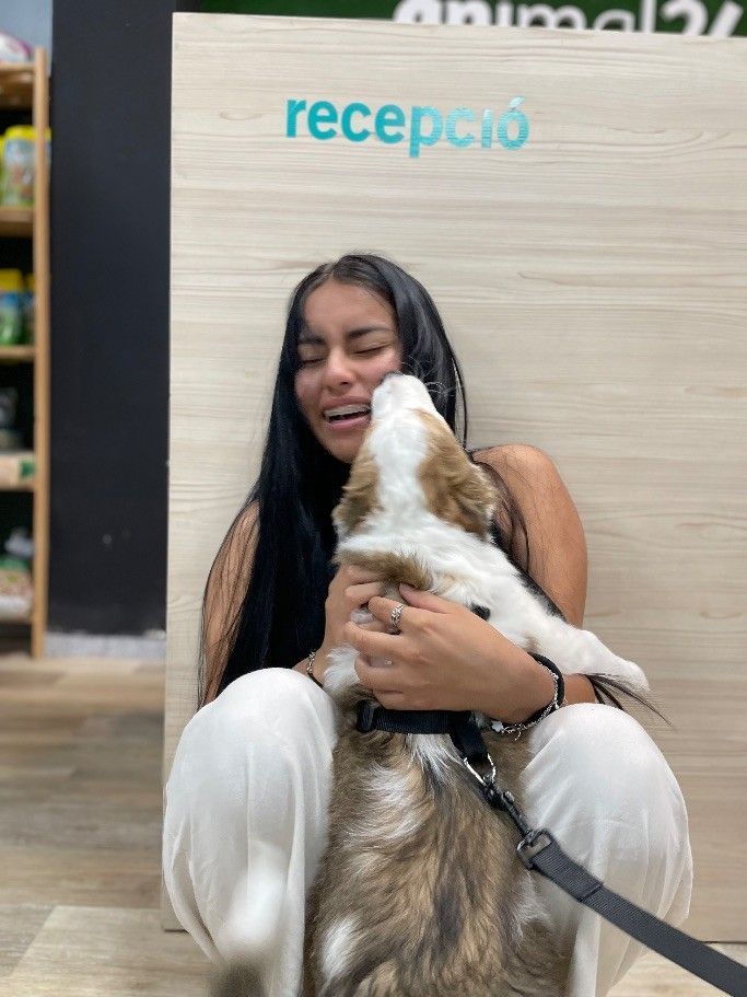 Curso de Peluquería y Estética Canina y Felina