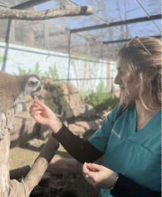 Alumna de Vetaformación interactuando con un lémur en un entorno de enriquecimiento ambiental en zoológico moderno