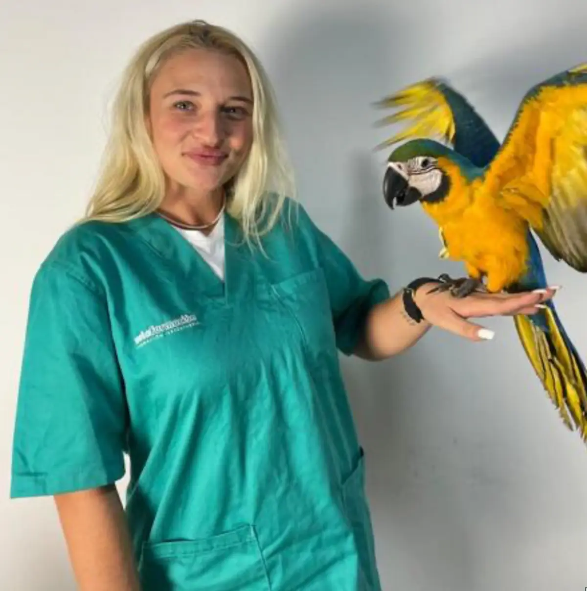 Alumna en formación como cuidadora de animales exóticos mostrando manejo responsable de un guacamayo durante práctica profesional