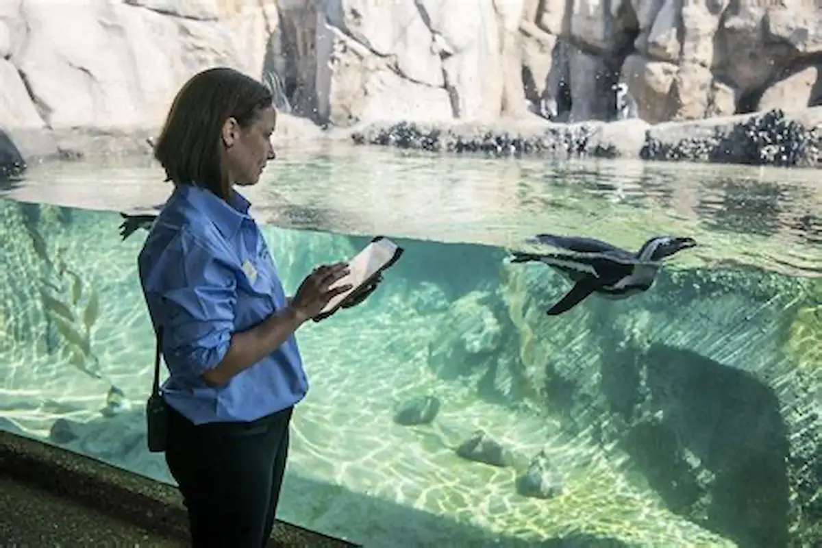 Cuidadora moderna registrando datos de comportamiento animal con tablet en zoológico moderno